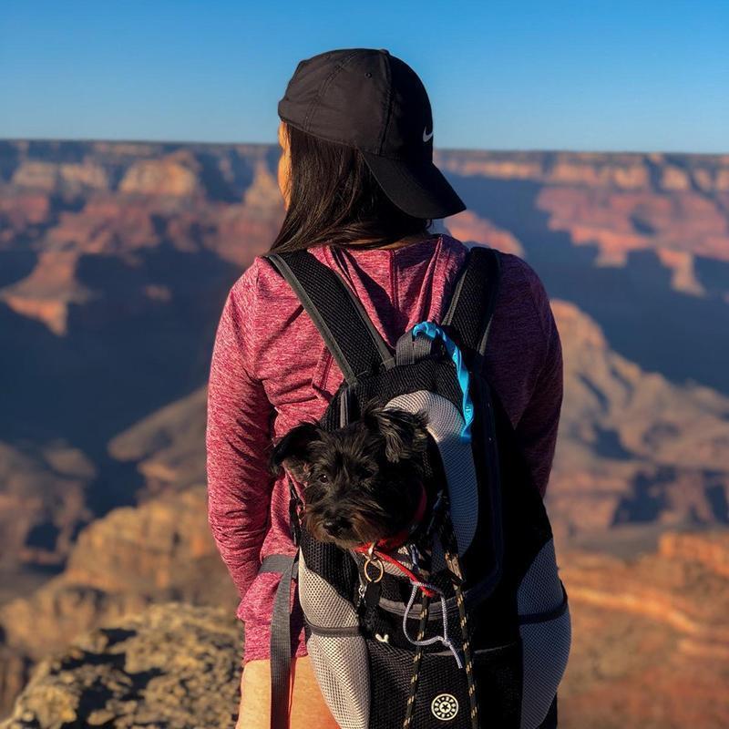 Skanto | Hunde-/Katzentrage-Rucksack