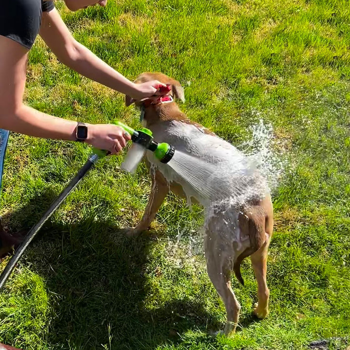Skanto | Dusche: Hochdruck, verstellbar und schaumgefüttert für einfaches Hundebaden.