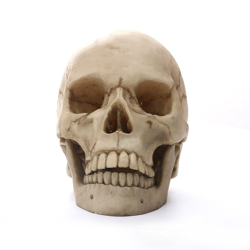 Skanto | 1:1 Menschliche Schädelstatue für Heimdekor Harzfiguren Halloween Dekoration Skulptur Medizinisches Lehrskizzenmodell Handwerk