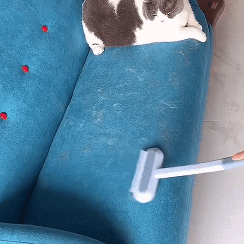 Skanto | 3-in-1 Tierhaarentferner - Petclean Pro