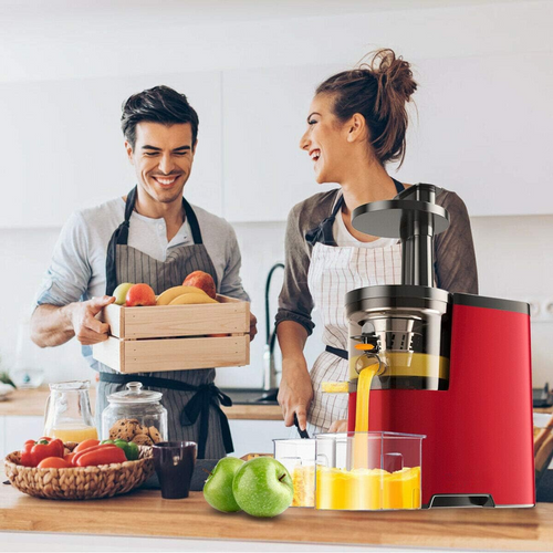 Skanto | Kaltpress-Slow Juicer – Genießen Sie glatten, zellstofffreien frischen Saft