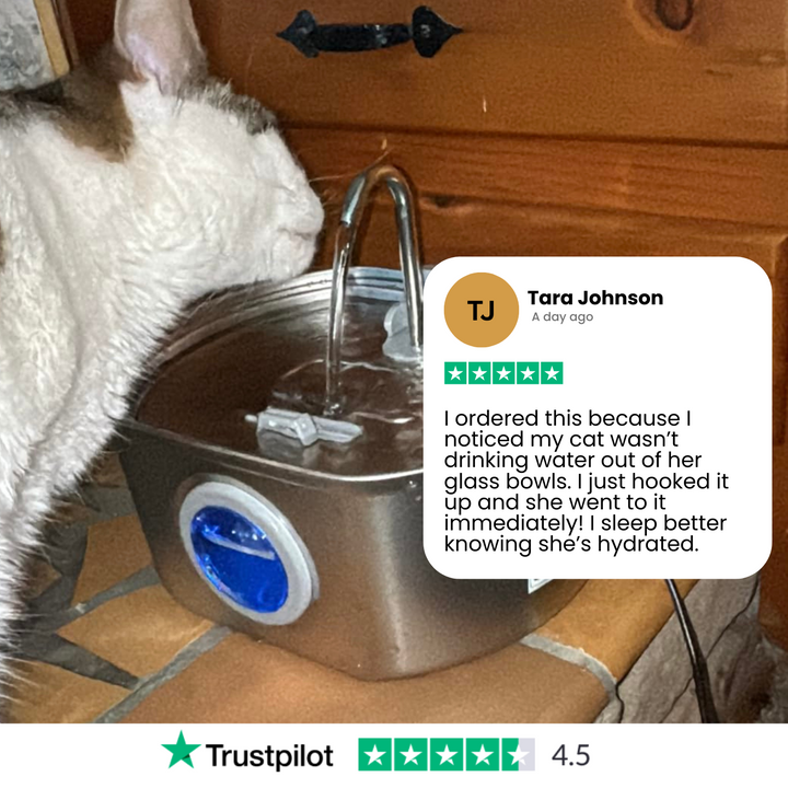 Skanto | Skanto Felindra Katzenbrunnen | Edelstahl | Fließendes Wasser für bessere Hydration | Leise & Hygienisch | 2,5 L Fassungsvermögen