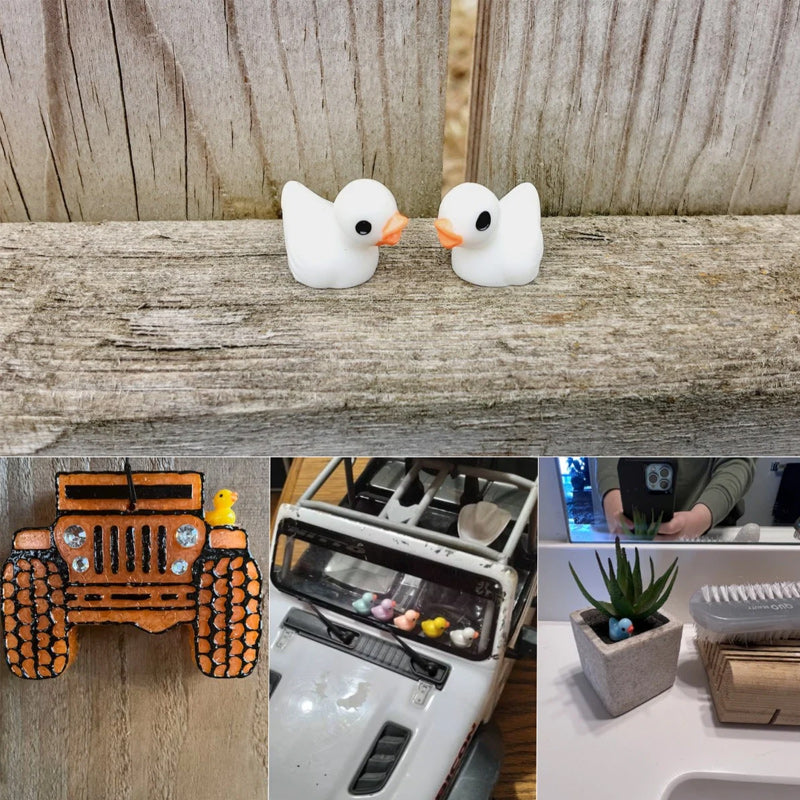 🦆Winzige Enten | Versteckspiel-Enten-Challenge | Norvo