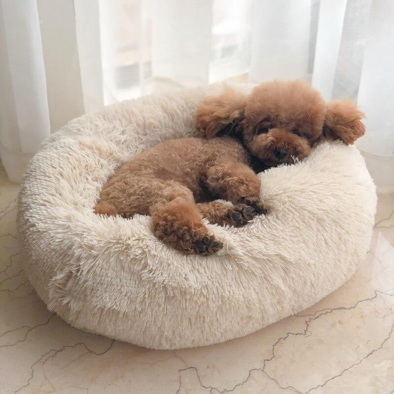 Skanto | Beruhigendes Hundebett