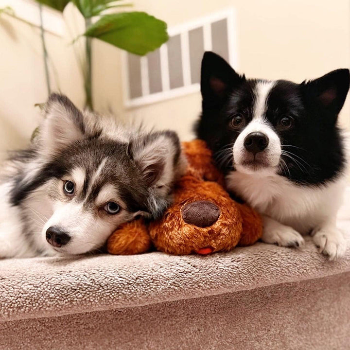 Skanto | Snuggle Puppy – Angst- und Einsamkeit reduzierendes Stofftier