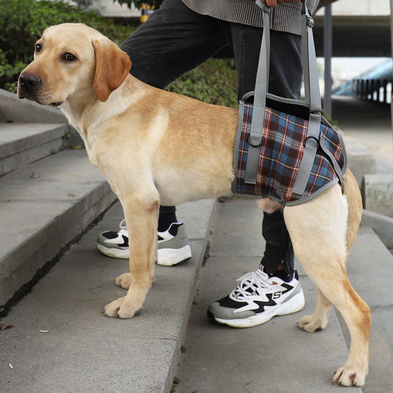 Skanto | Hunde-Hebe-Geschirr mit Griff, Haustier-Genesungsschlinge