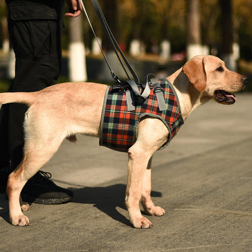 Skanto | Hunde-Hebe-Geschirr mit Griff, Haustier-Genesungsschlinge