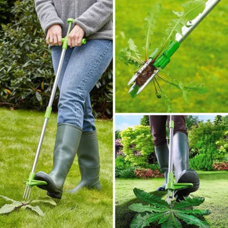 Skanto | RootRipper Garten-Unkrautstecher – Leistungsstarker Hand-Unkrautstecher für effektive Unkrautentfernung in Rasen & Gärten