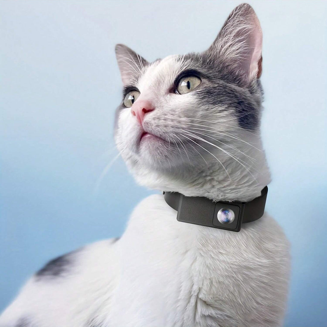 Skanto | Tragbare 160°-Tierkamera für Katzen & Hunde mit 1080P HD-Video – 32GB