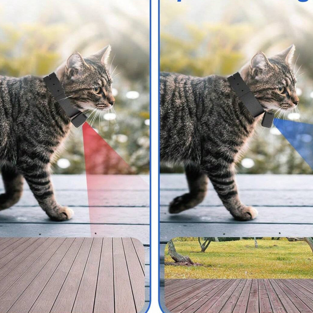 Skanto | Tragbare 160°-Tierkamera für Katzen & Hunde mit 1080P HD-Video – 32GB
