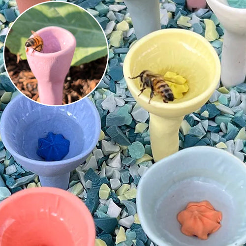 Skanto | Bienen- und Insektentränke