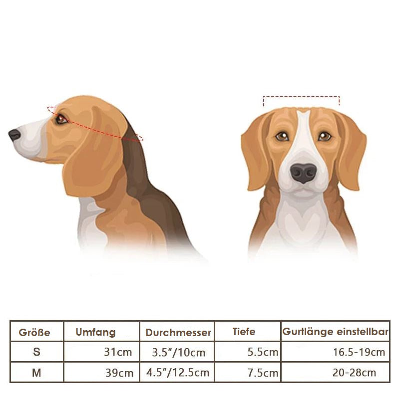 Skanto | Motorradhelm und Brille für Hunde – Trendy und sicher