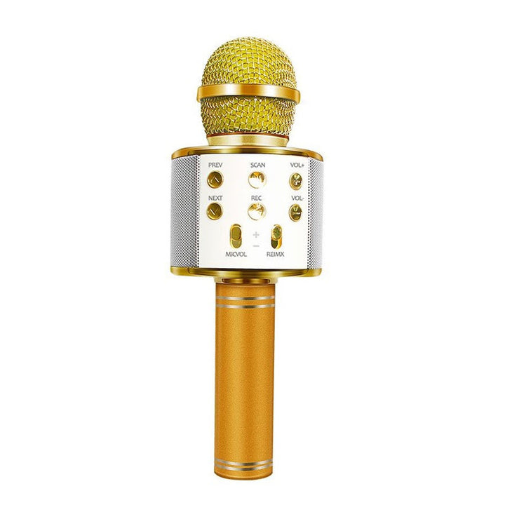 Skanto | Wiederaufladbares kabelloses Bluetooth Karaoke-Mikrofon
