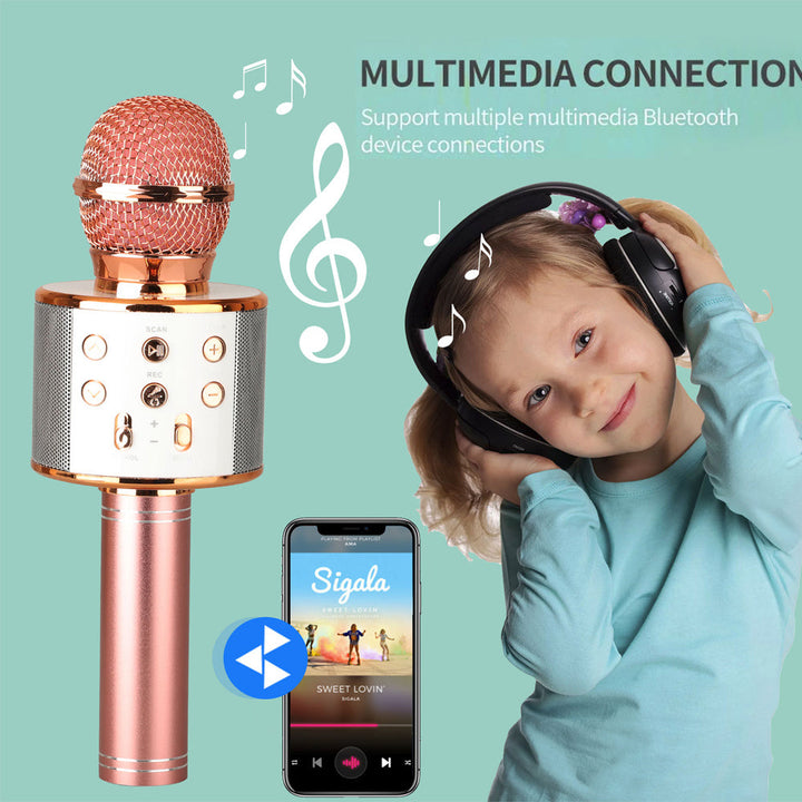 Skanto | Wiederaufladbares kabelloses Bluetooth Karaoke-Mikrofon