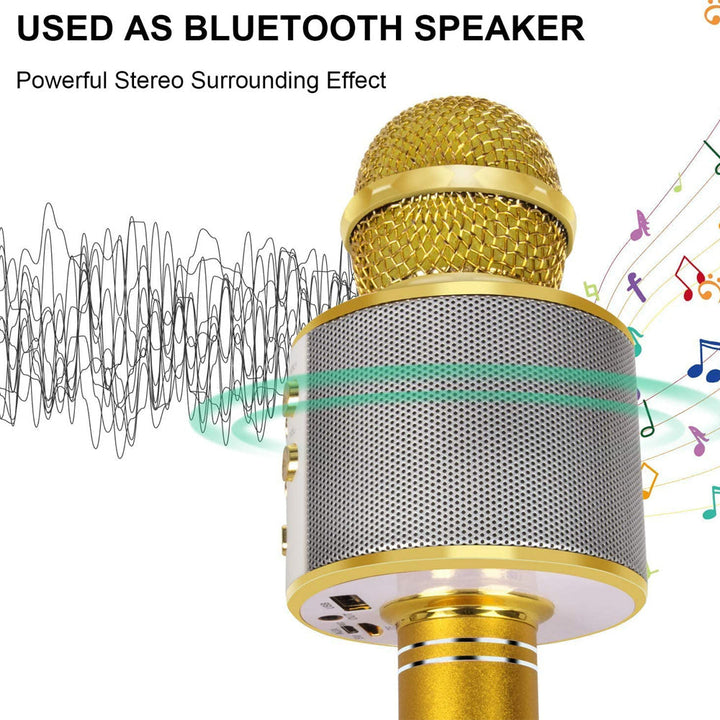 Skanto | Wiederaufladbares kabelloses Bluetooth Karaoke-Mikrofon