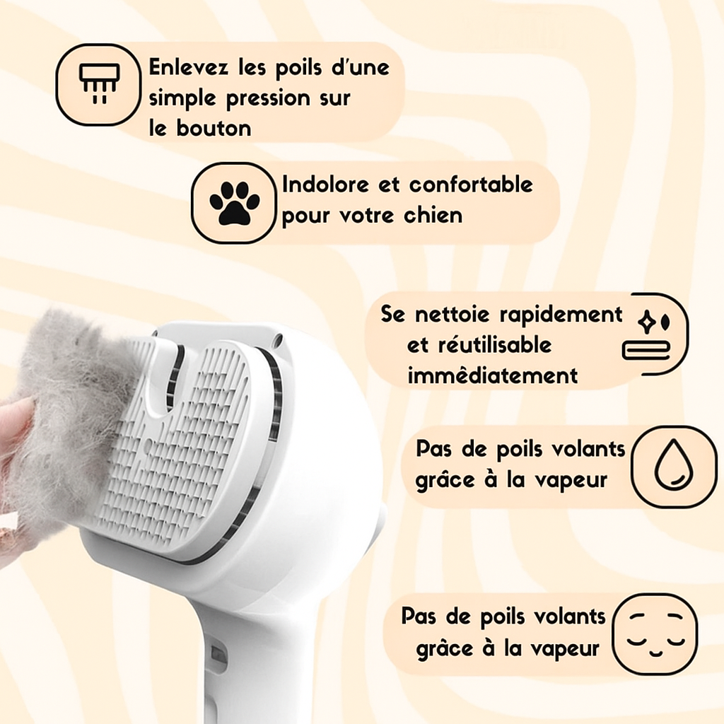 Skanto | PetGlow | Erleben Sie strahlende Geschmeidigkeit