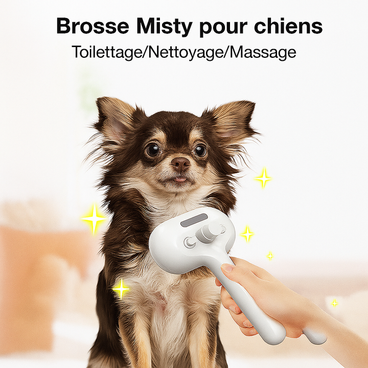 Skanto | PetGlow | Erleben Sie strahlende Geschmeidigkeit