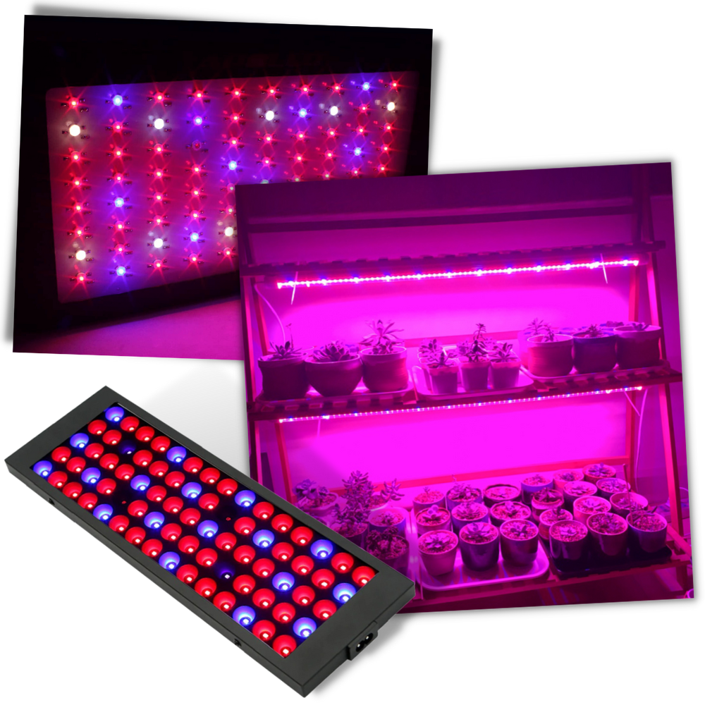 Hängende LED-Pflanzenlampe mit Vollspektrum