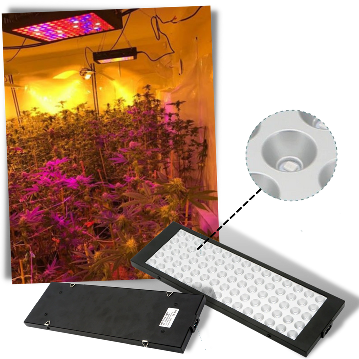 Hängende LED-Pflanzenlampe mit Vollspektrum