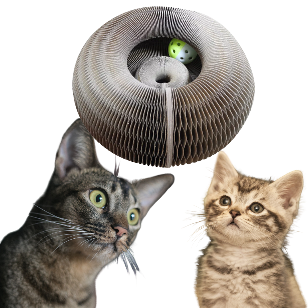 Katzen-Kratzbrett