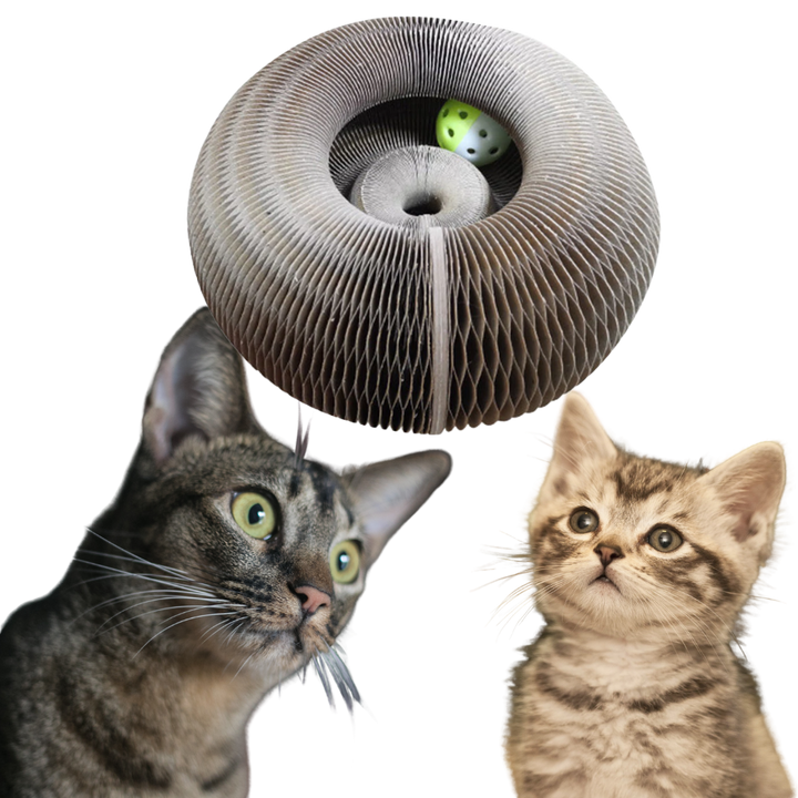 Katzen-Kratzbrett