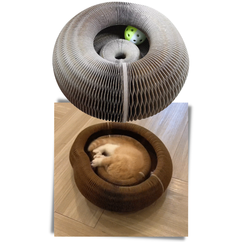 Katzen-Kratzbrett