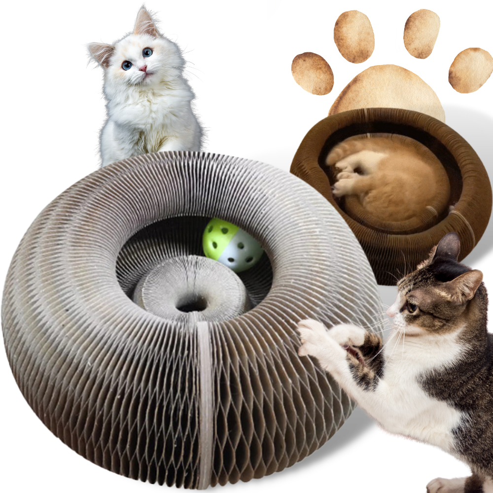Katzen-Kratzbrett