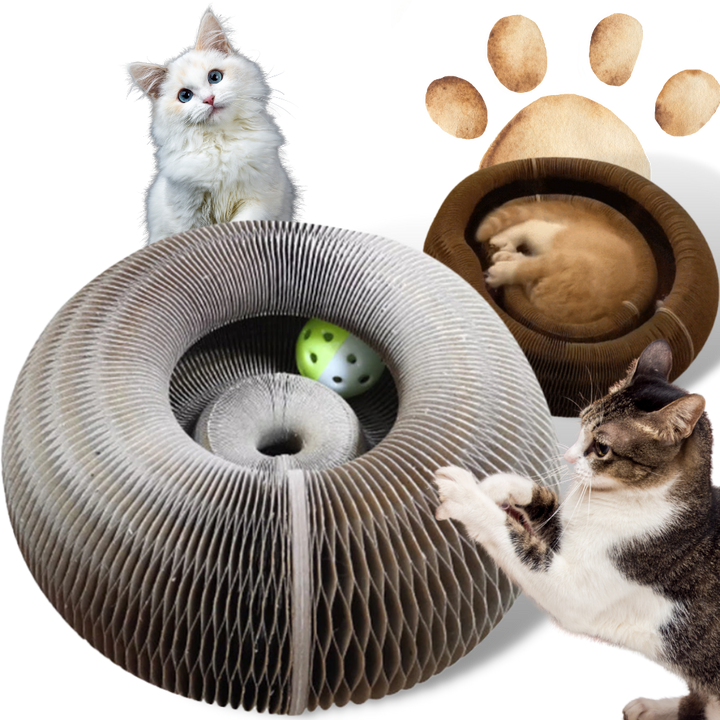 Katzen-Kratzbrett