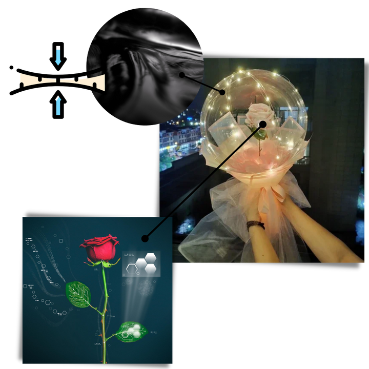 Schöne Rosen-LED-Ballon