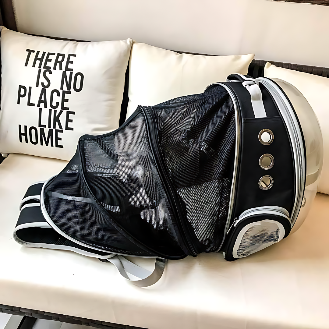 Skanto | Transportrucksack für Katzen – Dein Begleiter für jedes Abenteuer
