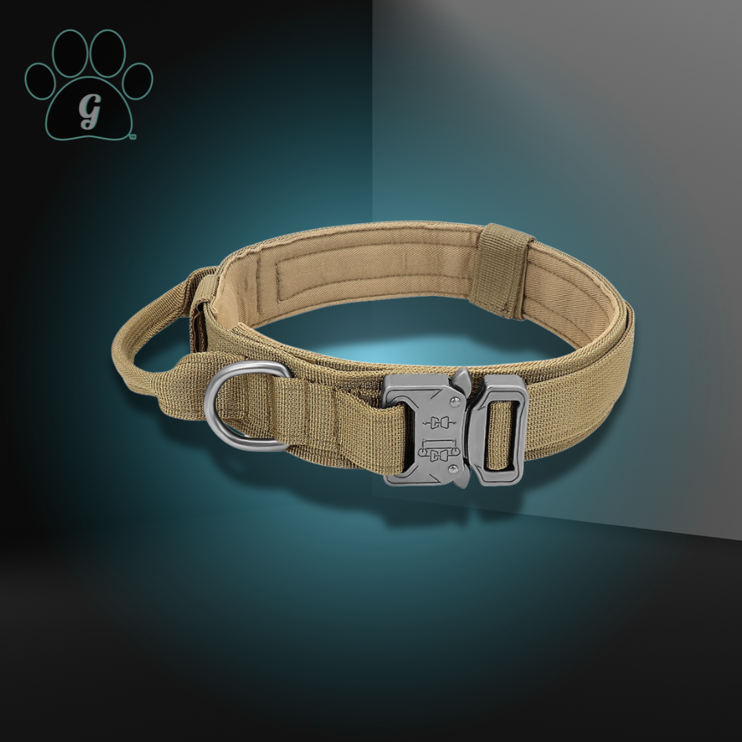 Skanto | Taktisches Hundehalsband