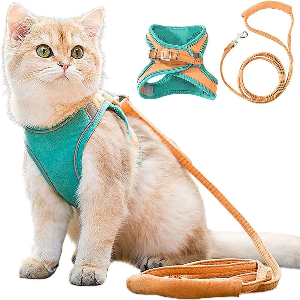 Katzengeschirr – Sicher und bequem für Outdoor-Abenteuer Skanto