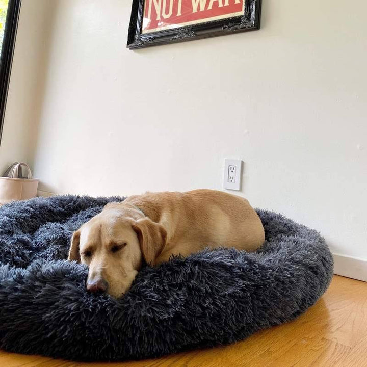 Skanto | Beruhigendes Hundebett