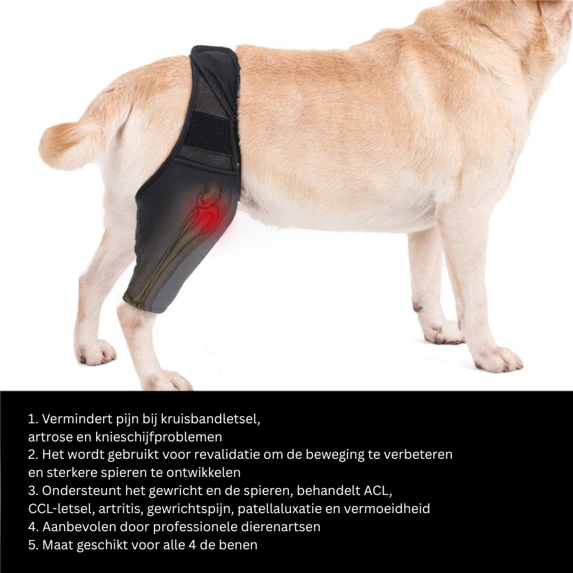 Skanto | PootVitaal Kniebandage für Hunde – Unterstützung bei Gelenkschmerzen und Rehabilitation