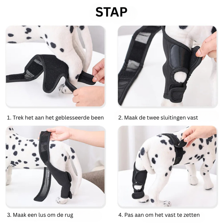 Skanto | PootVitaal Kniebandage für Hunde – Unterstützung bei Gelenkschmerzen und Rehabilitation