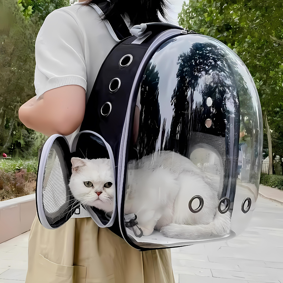 Skanto | Transportrucksack für Katzen – Dein Begleiter für jedes Abenteuer
