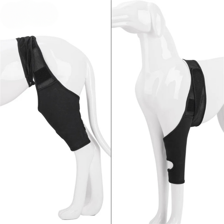 Skanto | PootVitaal Kniebandage für Hunde – Unterstützung bei Gelenkschmerzen und Rehabilitation