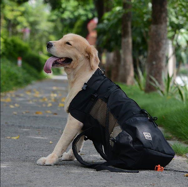 Skanto | Hunde-Rucksacktrage