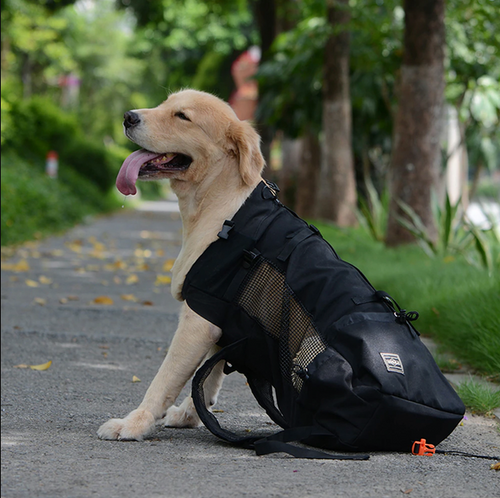 Skanto | Hunde-Rucksacktrage