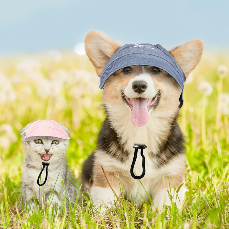 Skanto | Sonnenschutzhut für Hunde