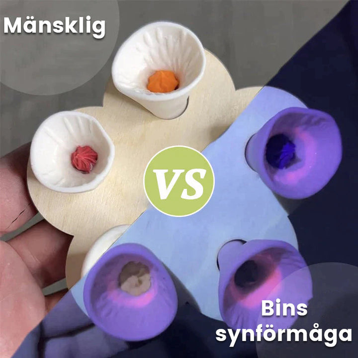 Skanto | Bienen- und Insektentränke