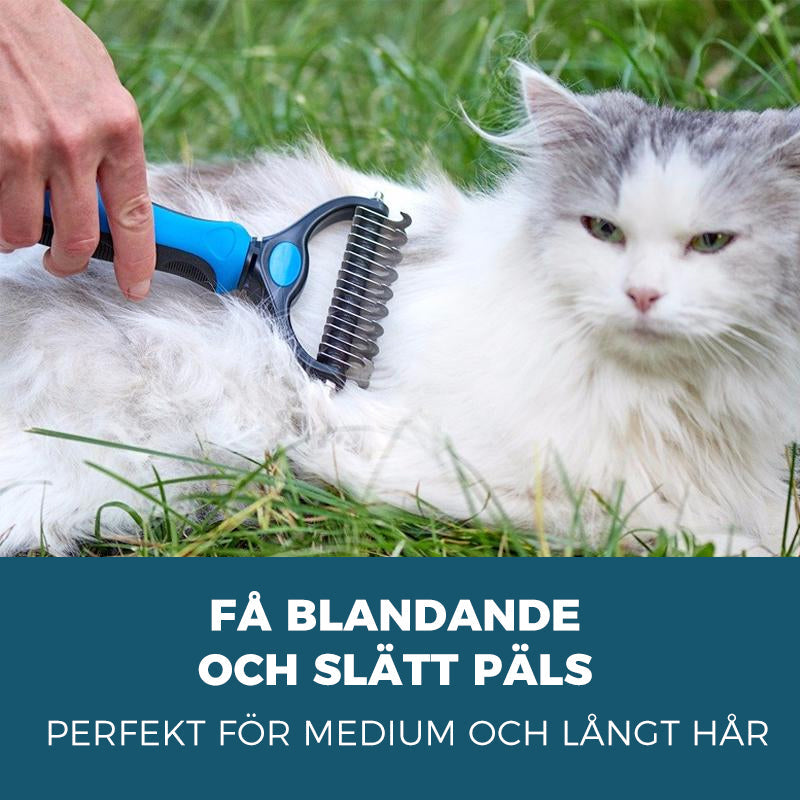 Skanto | Tierpflegebürste