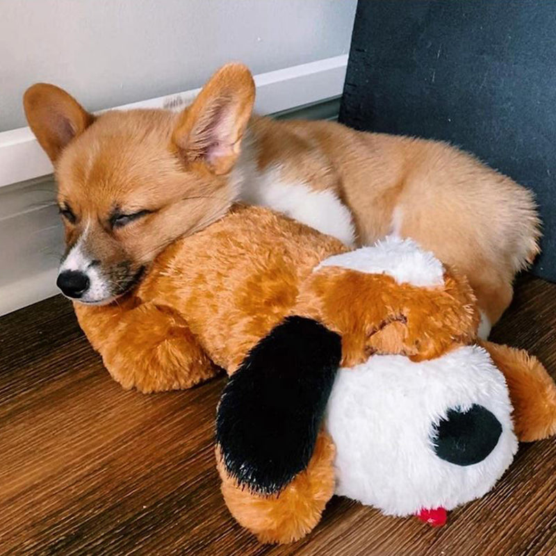 Skanto | Snuggle Puppy – Angst- und Einsamkeit reduzierendes Stofftier