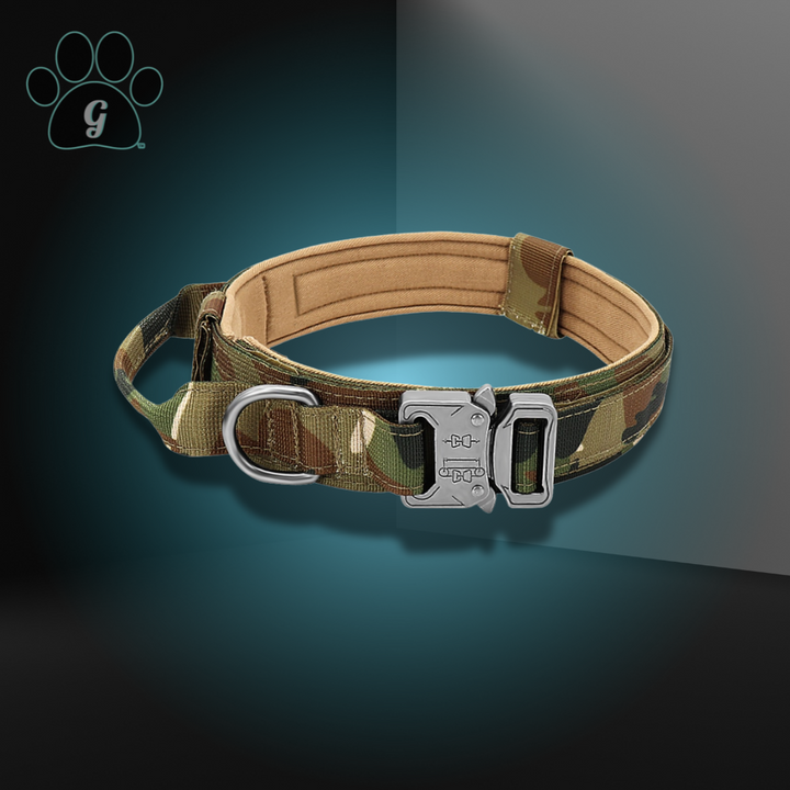 Skanto | Taktisches Hundehalsband