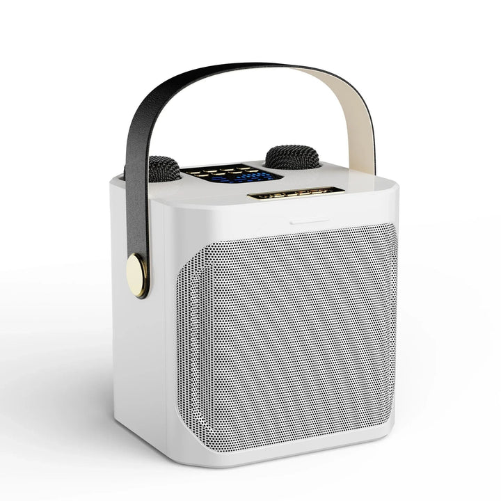 Skanto | Karaoke Bluetooth Lautsprecher | 360° Surround Sound, zwei Mikrofone & tragbar für Partys und Outdoor-Treffen