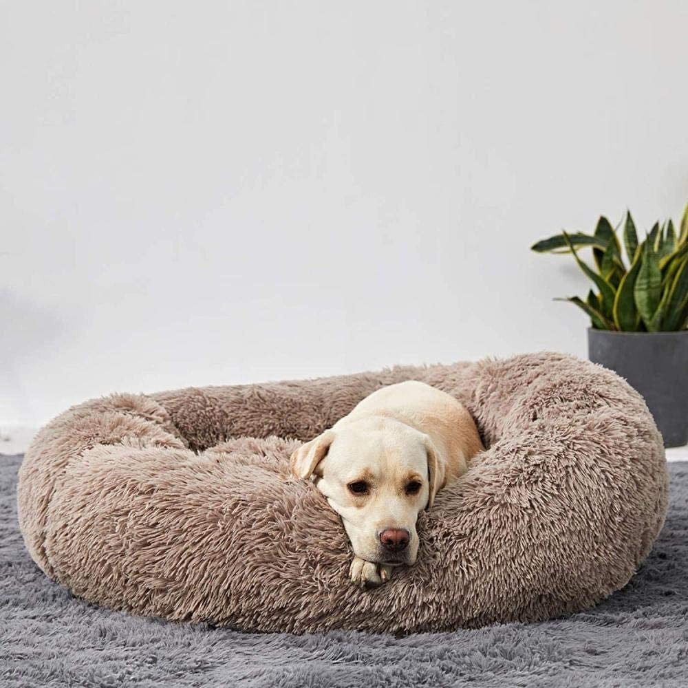 Skanto | Beruhigendes Hundebett