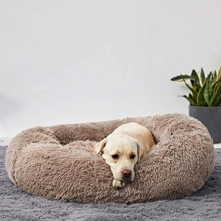 Skanto | Beruhigendes Hundebett
