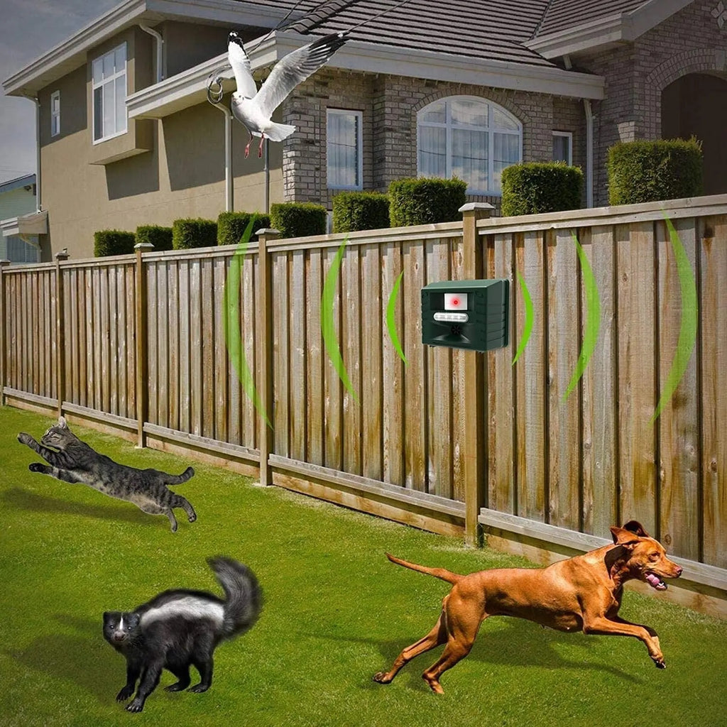 Skanto | Ultraschall-Specht-Vertreiber – Effektive und humane Vogelabwehr für Gärten und Häuser