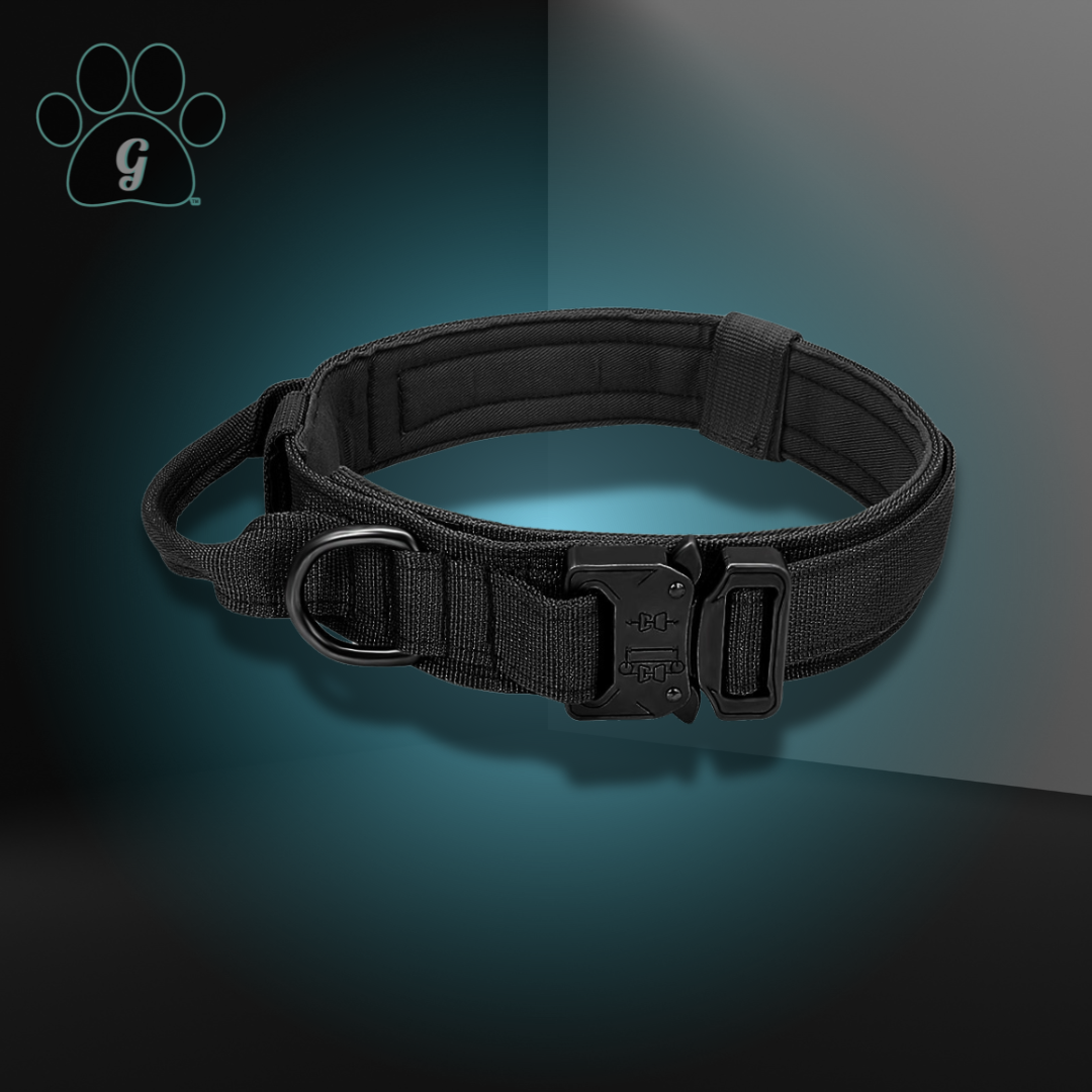 Skanto | Taktisches Hundehalsband
