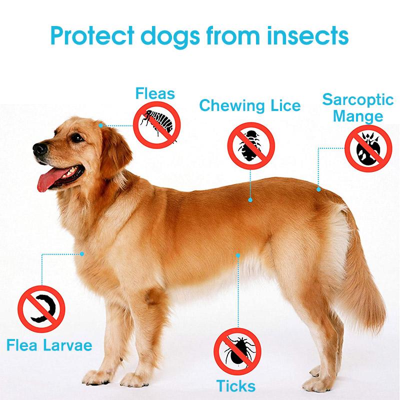 Skanto | Verstellbares Insektenschutzhalsband für Haustiere